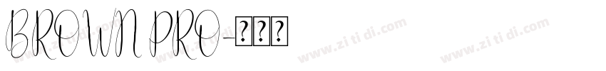 BROWN PRO字体转换